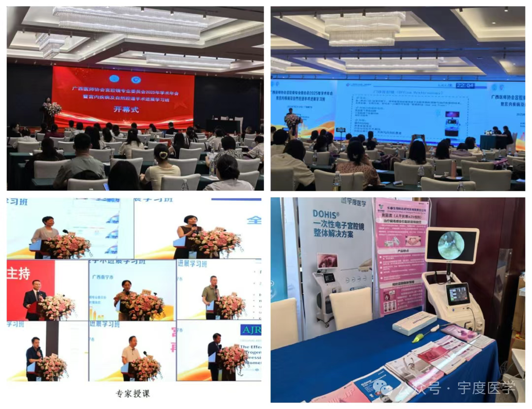 ae837981-3db1-4d65-a7e5-e3fef8d71854